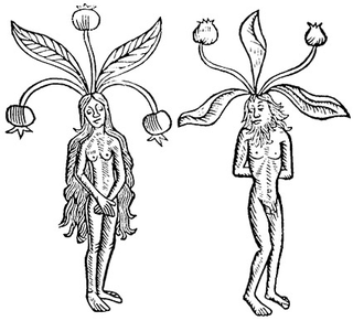 Illustration for article titled How Do Fictional Poisons Stack Up To Real-Life Ones?